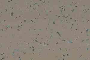 Линолеум Gerflor Taralay Premium Indiana 8053 Anambas фото  | FLOORDEALER